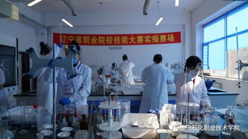 遼寧石化職業(yè)技術(shù)學(xué)院計(jì)算機(jī)大賽 以賽促學(xué)、以賽促教、以賽促改，驅(qū)動(dòng)信息技術(shù)人才培養(yǎng)創(chuàng)新